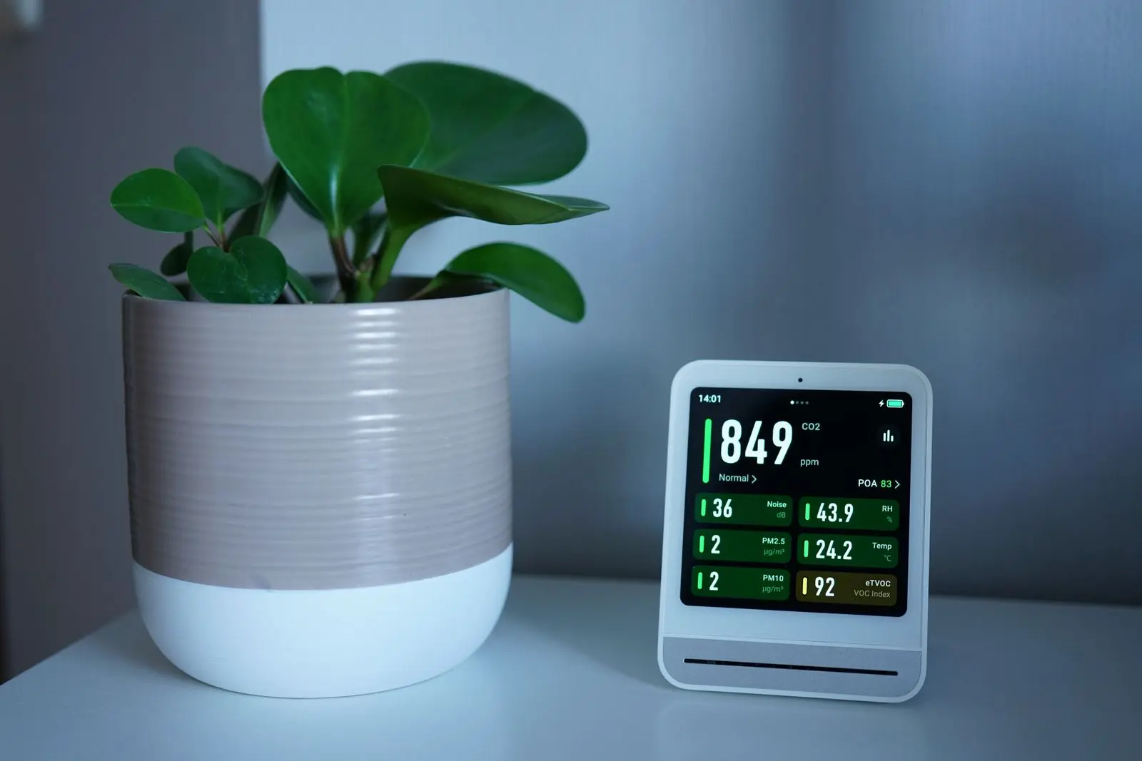 Indoor air quality monitor next to a houseplant